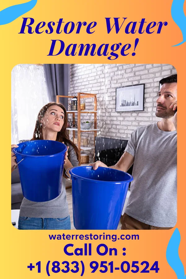 water restoration Citywide Sewage Cleanup Specialists Plymouth