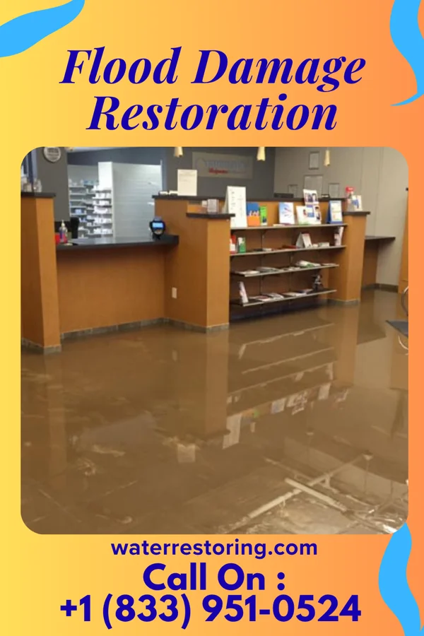 Flood Damage Restoration in Plymouth, IL